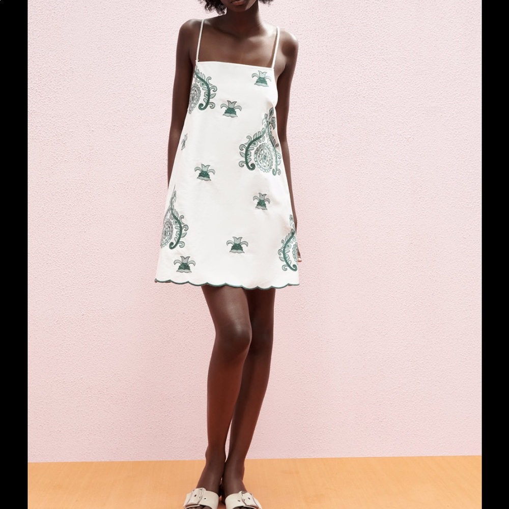 Zara Embroidered Mini Dress Size S NWT